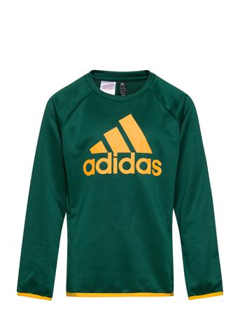 Designed To Move Big Logo Sweatshirt Green Adidas Performance