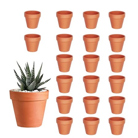 20 Mini Terracotta Plantepotter, Blomsterpotter, Leirkrukker med Dreneringshull for Kaktus, Sukkulenter og Innendørs- og Utendørsplanter (3,5 x 3 cm)