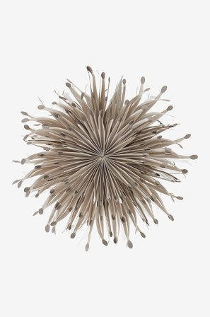 Jotex - SARGAS adventsstjerne ø 60 cm Greige - Kjøp Julestjerner hos Jotex