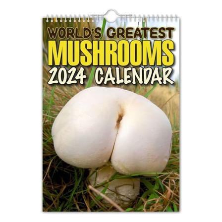 2024 Världens största svampkalender Väggkalender hängande