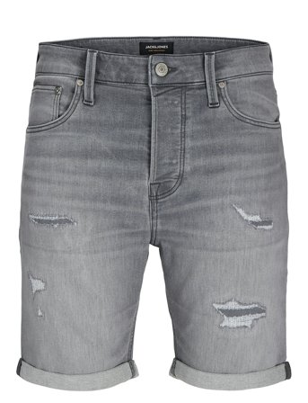 Jack & Jones | Jjirick Jjicon I.k. Shorts Ge 064 | L