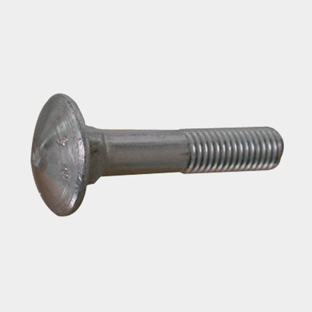 Vagnsbult 10 x 100 A4 DIN 603-4 2st.