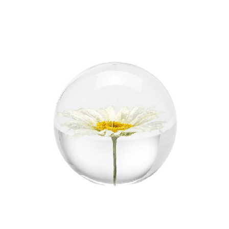 In Flore Daisy Pappersvikt Inredningsdetaljer Vit