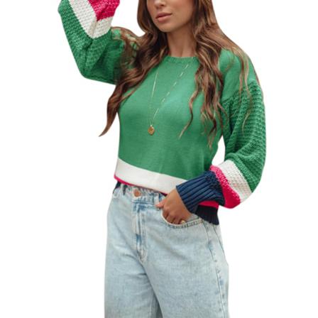 Casual Klassisk Dam Långärmad Tröja Med Rund Hals Stickad Col