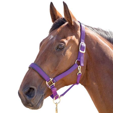 Shires Topaz Nylon Hästkrage Liten Pony Lila