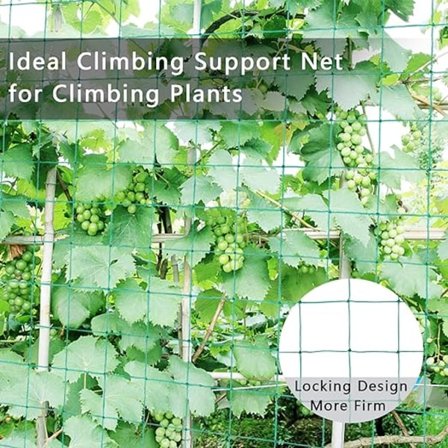 /#/Klatrenett for planter, espaliernett, for høsting agurk/#/