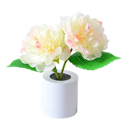 Led Peony Night Light Night Light 2 2