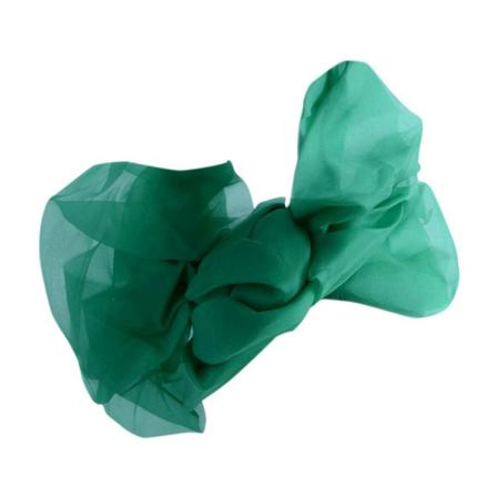 Dolce & Gabbana, Hair Accessories Groen, Dames, Maat:ONE Size