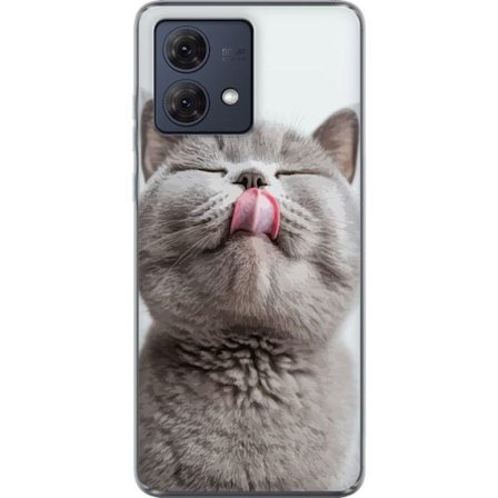 Kompatibelt Mobildeksel til Motorola Moto G84 Nærbilde av søt grå katt med tungen ute, sjarmerende dyrsmotiv perfekt for katteelskere og humoristis