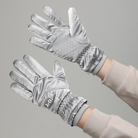 Varme Dame Skihansker Full Finger Hansker GRÅ