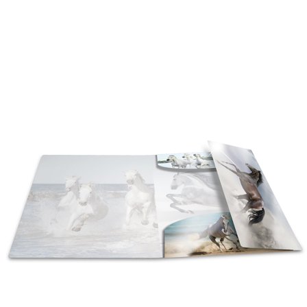 Herma Sammelmappe A4 Glossy Pferd Polypropylen