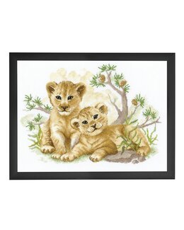 Stickpackung Bild Löwenbabys