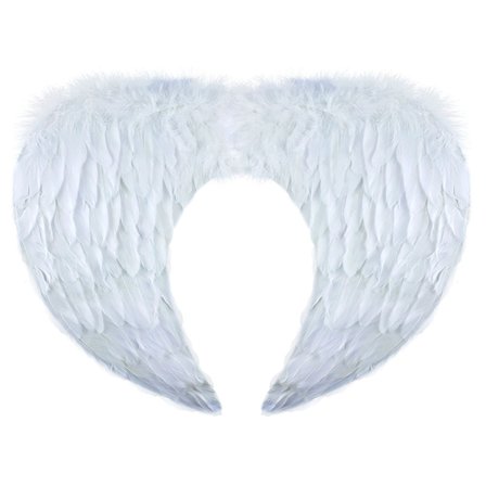 Englevinger med Fjer