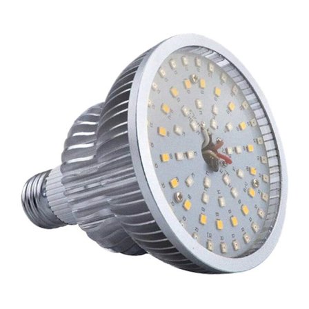 50W Full Spectrum Växtlampa LED-lampor Fjärrkontroll Dimbar Phyto Lampa med Timer E26 Växthus Tält Inga Glasögon