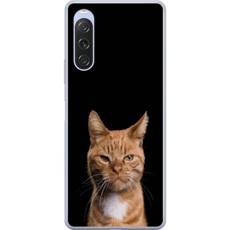 Kompatibel Mobilcover til Sony Xperia 10 V Nærbillede af orange kat mod sort baggrund, udtryksfuldt blik og høj kontrast for et minimalistisk men stær