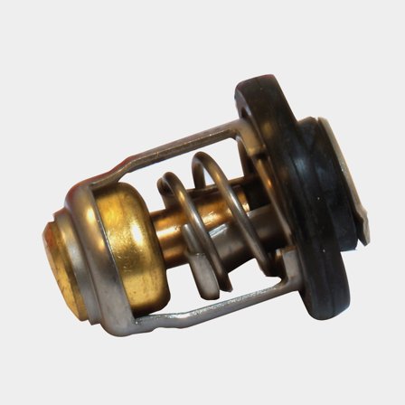 Termostat till Mercury MFS8 MFS30