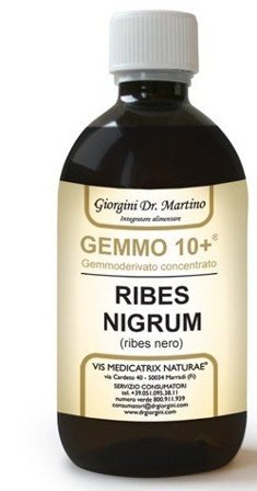 Dr Giorgini Gemmo 10+ Ribes Nero Liquido Analcolico 500ml