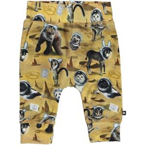 Molo Kawaiii Planet Sammy GOTS Pants 74 cm - Bottoms - 74 cm - Yellow