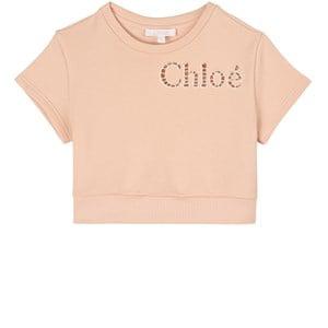 Kids - Chloé Pink Logo Short-Sleeved Sweatshirt 14 years - Jumpers and knitwear - 14 years - Pink - Mädchen
