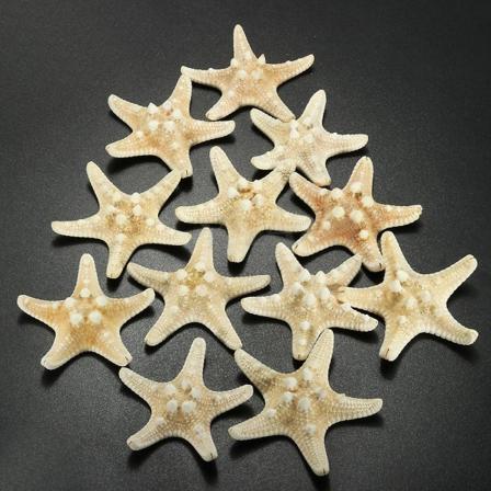 12 X Knutete Sjøstjerner 5-7cm Sjøstjerne Strand Bryllup Display Håndverk Dekorasjon