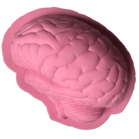 Stor Hjerne Silikonform Til Kage Chokoladepande Bagning Halloween Krybende Gysende