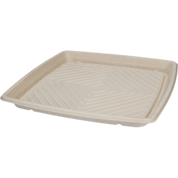 FAT BAGASSE 36X36X3CM