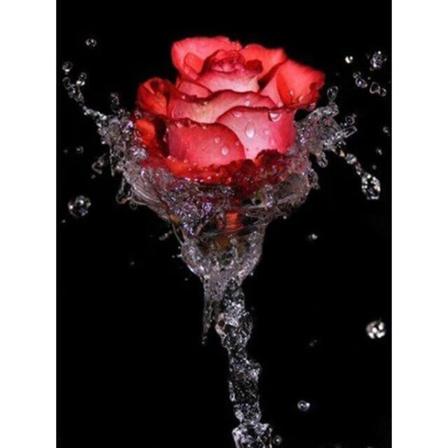 30 x 40 cm, roser i vann Diamantmaleri Broderi Diamant