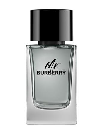 Burberry Burberry Mr Burberry Eau De Toilette Nude