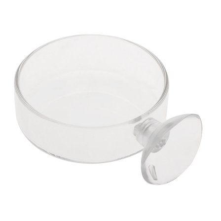 Akvarium Räkmatningsskål med Sugkopp Hög Transparent Glas Bottenmatare Matskål 6x1,8 cm Rund Bricka