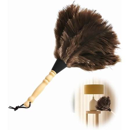 Strutsefjærstøvkost med trehåndtak, 30 cm