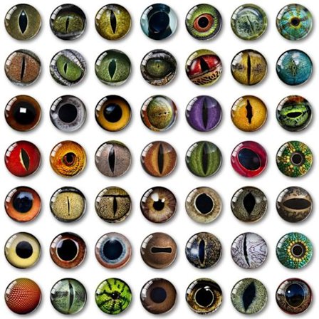 20 stk/10 par Eyes Crafts Eyes Puppet Crystal Eyes 15MM-FARVE