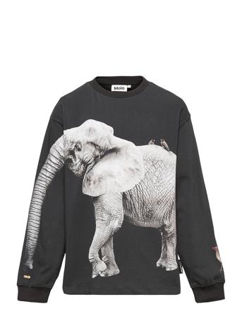 Rube T-shirts Long-sleeved T-shirts Multi/mönstrad Molo
