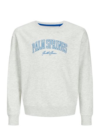 Jack & Jones | Jjdetroit Sweat Crew Neck Jnr | 176