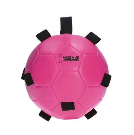Holland Animal Care Maximus Fun Play Ball til Hest, Rosa - 19cm