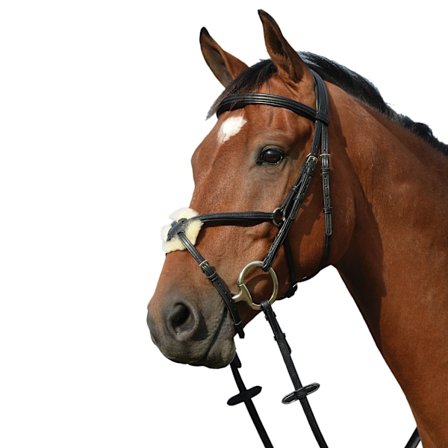 Collegiate Syntovia+ Vadderad Figursydd 8 Rem Full Black