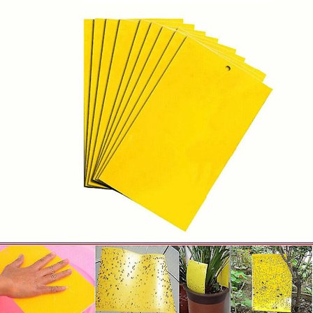 20 gule klisterfælder til fluer til klæbrige fælder til hvide fluer, bladlus, møl og myg