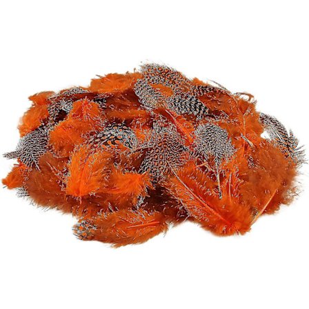 300 stk Dekorative Fjer - Perlehønsfjer til DIY Håndværk Dekoration Påske Jul Dekorationsfigur Orange