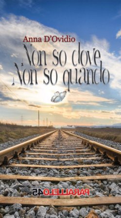 Non so dove non so quando Anna D'ovidio