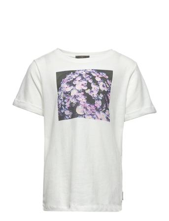 T-Shirt Ss Photoprint White Creamie