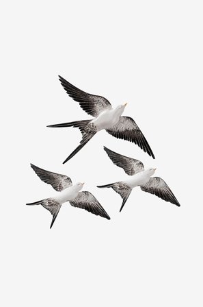 Wallity - Väggdekor Lisa (3 st.) - Svart - Posters & tavlor - Från Homeroom