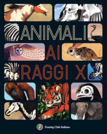 Animali ai raggi X Jules Howard