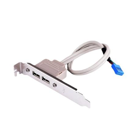 2-porttinen USB 2.0 naaras takapaneeli emolevyyn 9-nastainen otsikkoliitin Kaapelisovitin PCI-paikkalevyn kannakkeella 30 cm
