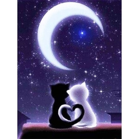 30x40cm 5D Diamantmaleri - Kat under Månen