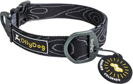 OllyDog Flagstaff Collar Raven Bark