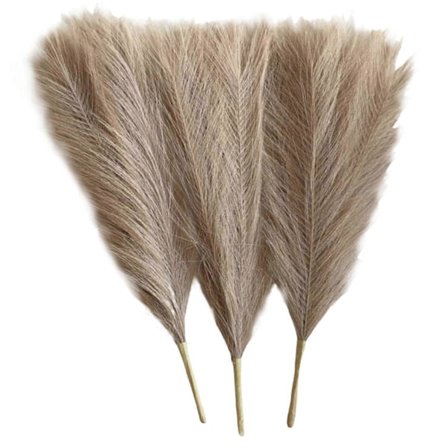 3 stk. Tørret Pampas Arrangement Phragmites Rørblomst til Bryllup Bondehus Indretning