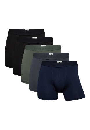 JBS of Denmark Bambu, Boxershorts, 5-pack, Svart Kalsonger Herr Flerfärgad L