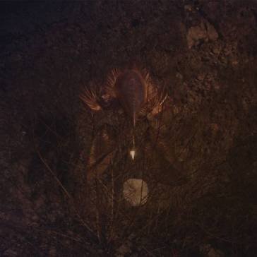 Ampire (neon green splatter black vinyl) BONGBONGBEERWIZARDS