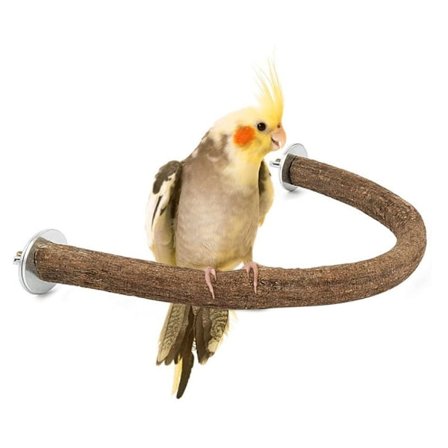 Fugl stående stok Fugl stående stang Fugle Habitat