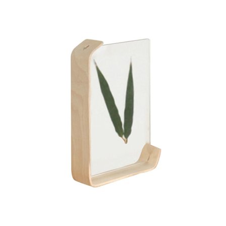 Akryl fotoram Herbarium displayramar 6 tum