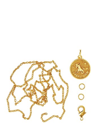 Me & My Box | Zodiac Coin Pendant And Chain Set, Capricorn | ONE SIZE